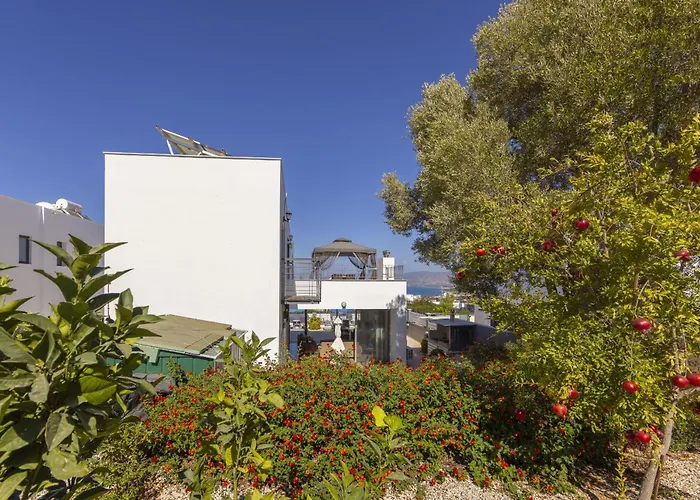 Lenias Sea View 네오 초리오